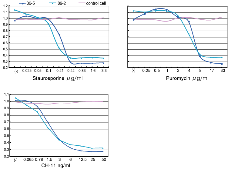 A|g[VXU܂HTS_sensor cell